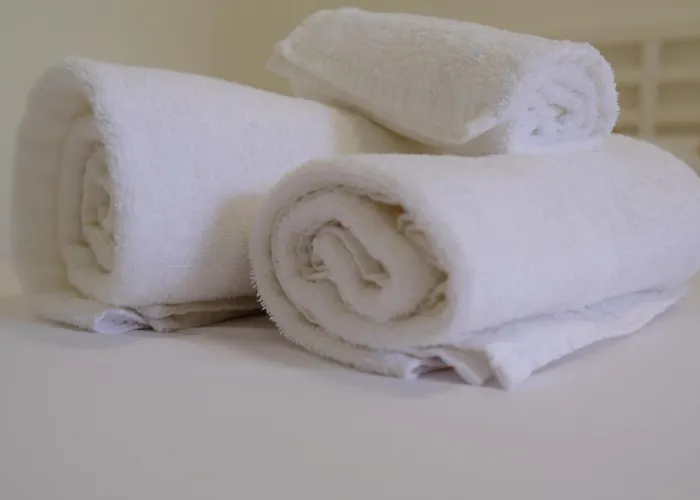 Ricco Πανσιόν 3*